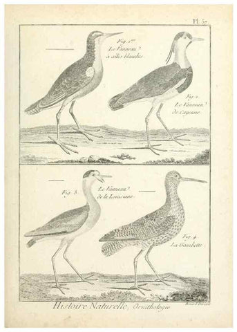 Reproducción/Reproduction 7850581188: Tableau encyclopédique et méthodique des trois règnes de la nature.. A Paris :Chez Mme. veuve Agasse ...,1823.