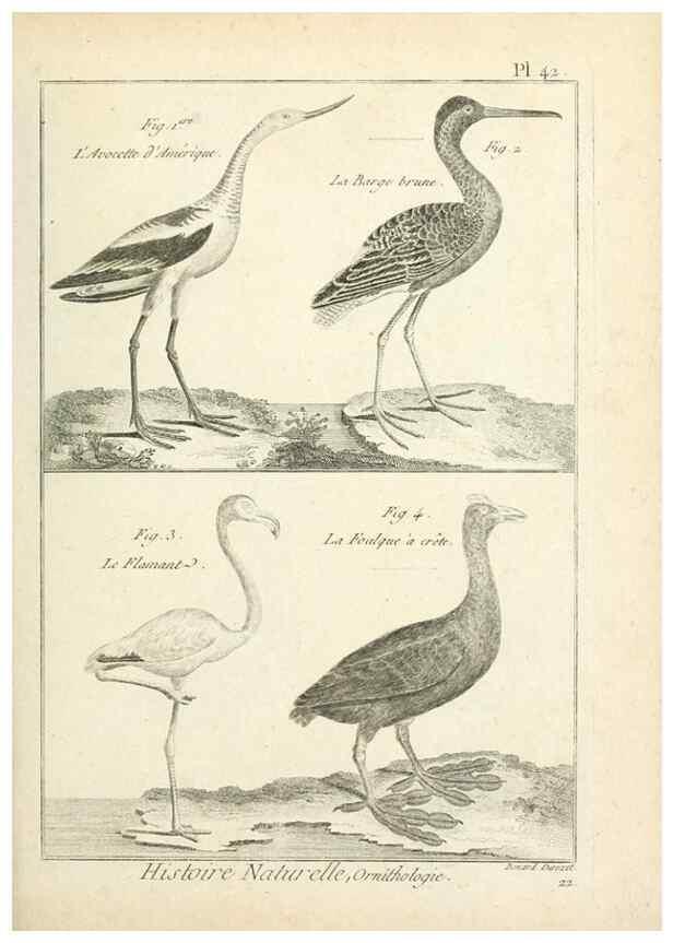 Reproducción/Reproduction 7850571058: Tableau encyclopédique et méthodique des trois règnes de la nature.. A Paris :Chez Mme. veuve Agasse ...,1823.