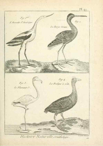 Reproducción/Reproduction 7850571058: Tableau encyclopédique et méthodique des trois règnes de la nature.. A Paris :Chez Mme. veuve Agasse ...,1823.