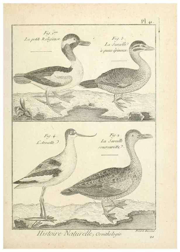 Reproducción/Reproduction 7850570436: Tableau encyclopédique et méthodique des trois règnes de la nature.. A Paris :Chez Mme. veuve Agasse ...,1823.