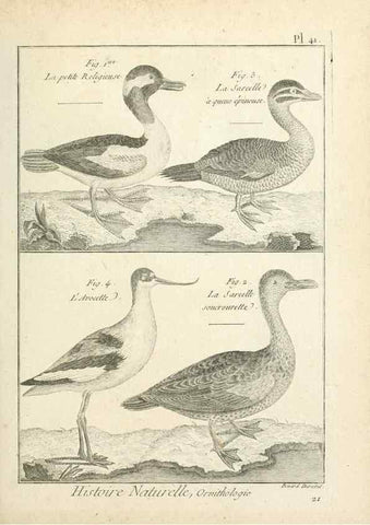 Reproducción/Reproduction 7850570436: Tableau encyclopédique et méthodique des trois règnes de la nature.. A Paris :Chez Mme. veuve Agasse ...,1823.