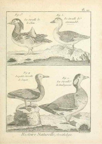 Reproducción/Reproduction 7850569802: Tableau encyclopédique et méthodique des trois règnes de la nature.. A Paris :Chez Mme. veuve Agasse ...,1823.