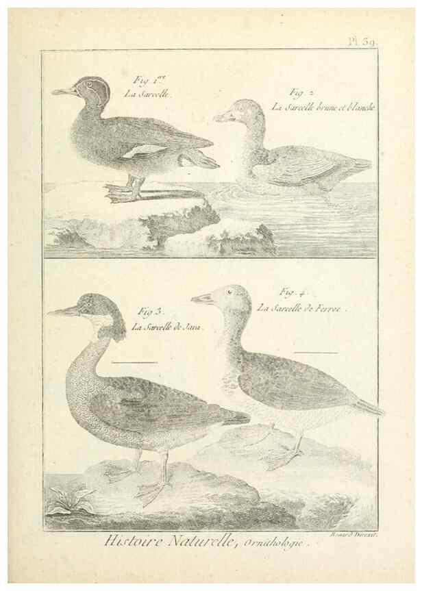 Reproducción/Reproduction 7850569266: Tableau encyclopédique et méthodique des trois règnes de la nature.. A Paris :Chez Mme. veuve Agasse ...,1823.