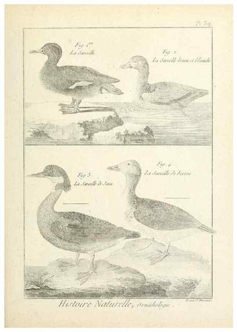 Reproducción/Reproduction 7850569266: Tableau encyclopédique et méthodique des trois règnes de la nature.. A Paris :Chez Mme. veuve Agasse ...,1823.