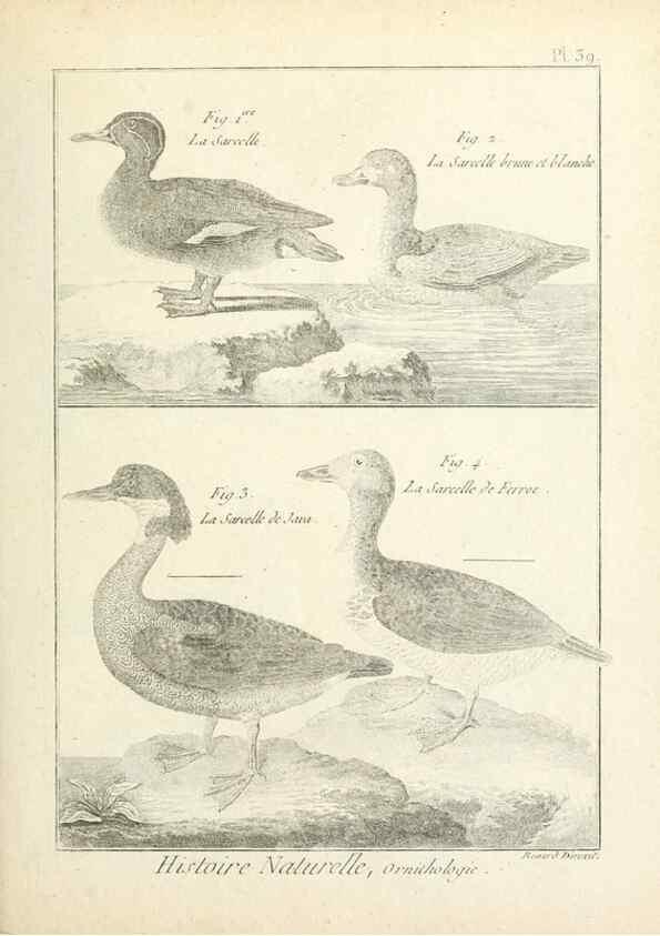 Reproducción/Reproduction 7850569266: Tableau encyclopédique et méthodique des trois règnes de la nature.. A Paris :Chez Mme. veuve Agasse ...,1823.