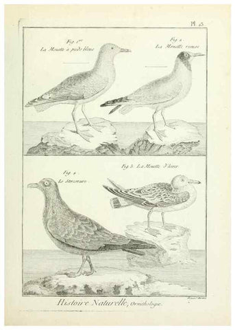 Reproducción/Reproduction 7850560434: Tableau encyclopédique et méthodique des trois règnes de la nature.. A Paris :Chez Mme. veuve Agasse ...,1823.