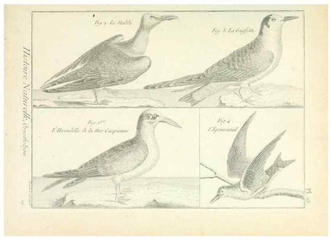 Reproducción/Reproduction 7850561468: Tableau encyclopédique et méthodique des trois règnes de la nature.. A Paris :Chez Mme. veuve Agasse ...,1823.