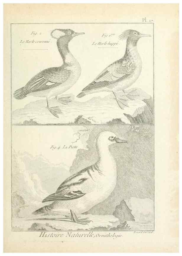 Reproducción/Reproduction 7850562526: Tableau encyclopédique et méthodique des trois règnes de la nature.. A Paris :Chez Mme. veuve Agasse ...,1823.