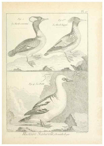 Reproducción/Reproduction 7850562526: Tableau encyclopédique et méthodique des trois règnes de la nature.. A Paris :Chez Mme. veuve Agasse ...,1823.