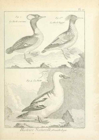 Reproducción/Reproduction 7850562526: Tableau encyclopédique et méthodique des trois règnes de la nature.. A Paris :Chez Mme. veuve Agasse ...,1823.