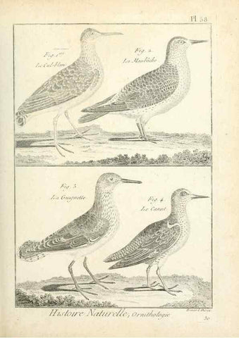 Reproducción/Reproduction 7850581810: Tableau encyclopédique et méthodique des trois règnes de la nature.. A Paris :Chez Mme. veuve Agasse ...,1823.