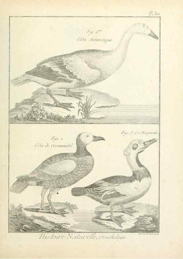 Reproducción/Reproduction 7850564100: Tableau encyclopédique et méthodique des trois règnes de la nature.. A Paris :Chez Mme. veuve Agasse ...,1823.