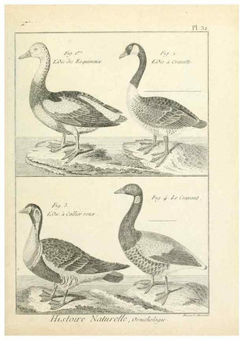 Reproducción/Reproduction 7850565336: Tableau encyclopédique et méthodique des trois règnes de la nature.. A Paris :Chez Mme. veuve Agasse ...,1823.