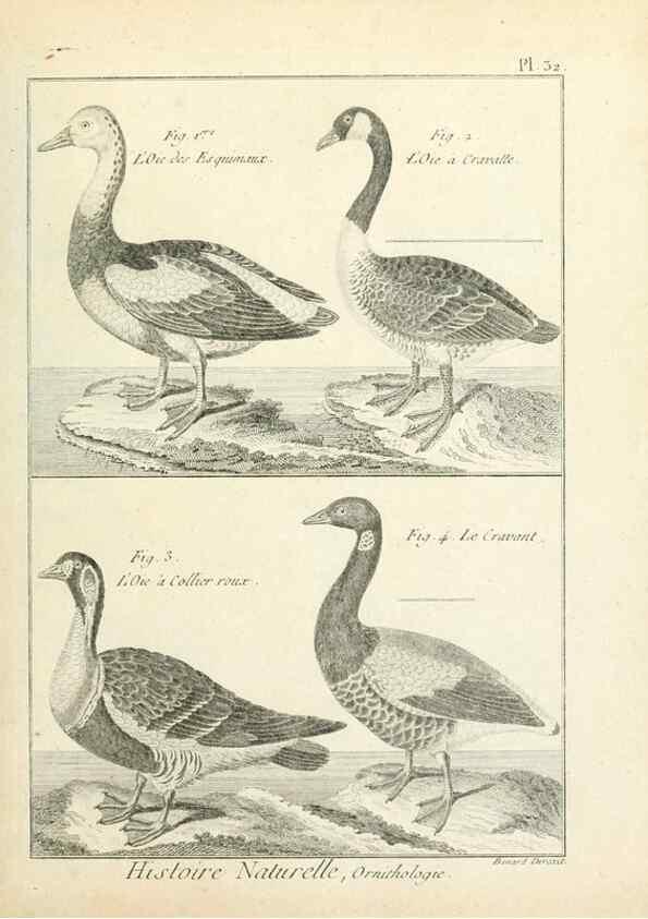 Reproducción/Reproduction 7850565336: Tableau encyclopédique et méthodique des trois règnes de la nature.. A Paris :Chez Mme. veuve Agasse ...,1823.