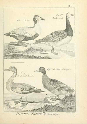Reproducción/Reproduction 7850565850: Tableau encyclopédique et méthodique des trois règnes de la nature.. A Paris :Chez Mme. veuve Agasse ...,1823.