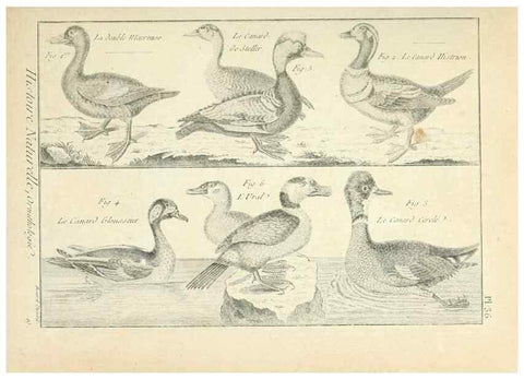 Reproducción/Reproduction 7850567538: Tableau encyclopédique et méthodique des trois règnes de la nature.. A Paris :Chez Mme. veuve Agasse ...,1823.