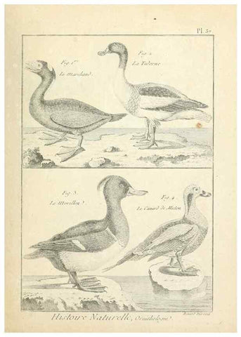 Reproducción/Reproduction 7850568134: Tableau encyclopédique et méthodique des trois règnes de la nature.. A Paris :Chez Mme. veuve Agasse ...,1823.