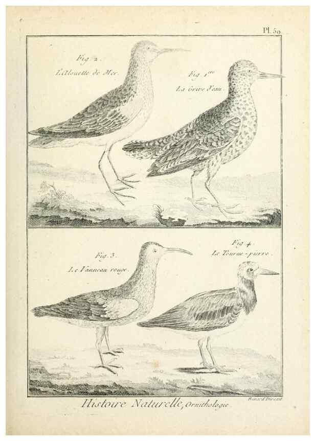 Reproducción/Reproduction 7850582426: Tableau encyclopédique et méthodique des trois règnes de la nature.. A Paris :Chez Mme. veuve Agasse ...,1823.