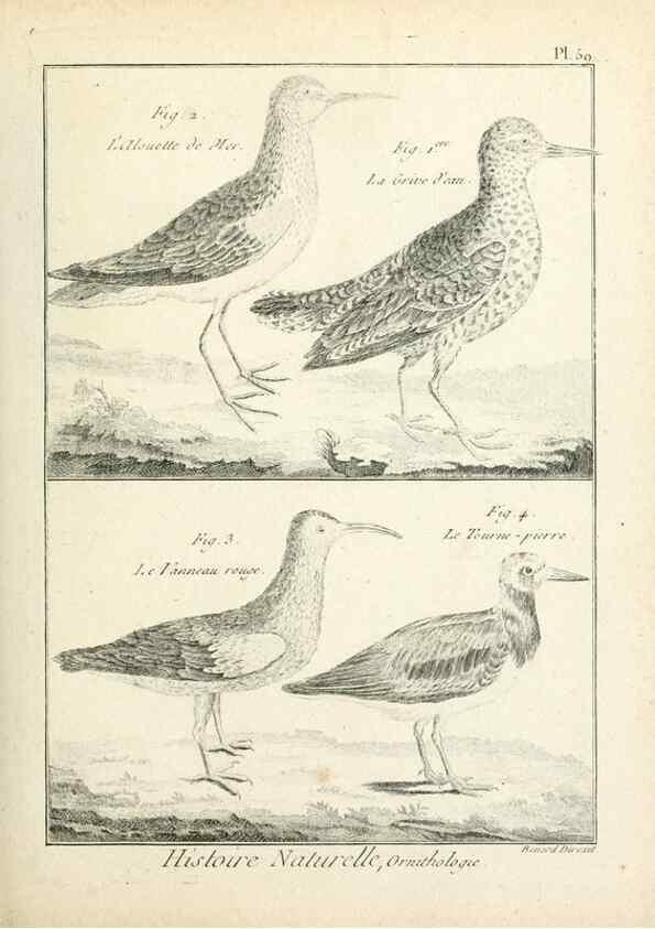 Reproducción/Reproduction 7850582426: Tableau encyclopédique et méthodique des trois règnes de la nature.. A Paris :Chez Mme. veuve Agasse ...,1823.