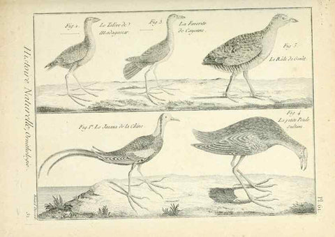 Reproducción/Reproduction 7850583782: Tableau encyclopédique et méthodique des trois règnes de la nature.. A Paris :Chez Mme. veuve Agasse ...,1823.
