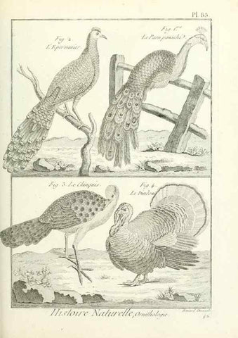 Reproducción/Reproduction 7850599168: Tableau encyclopédique et méthodique des trois règnes de la nature.. A Paris :Chez Mme. veuve Agasse ...,1823.