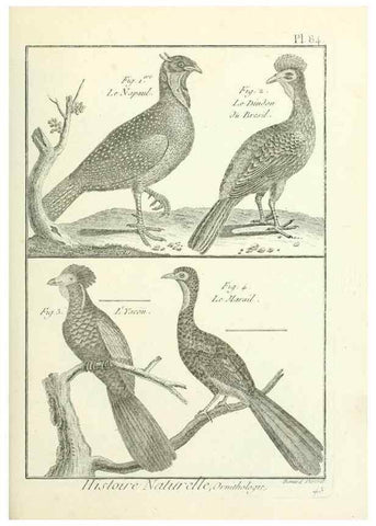 Reproducción/Reproduction 7850600176: Tableau encyclopédique et méthodique des trois règnes de la nature.. A Paris :Chez Mme. veuve Agasse ...,1823.