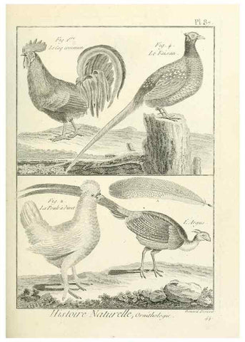 Reproducción/Reproduction 7850603662: Tableau encyclopédique et méthodique des trois règnes de la nature.. A Paris :Chez Mme. veuve Agasse ...,1823.