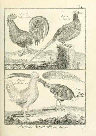 Reproducción/Reproduction 7850603662: Tableau encyclopédique et méthodique des trois règnes de la nature.. A Paris :Chez Mme. veuve Agasse ...,1823.