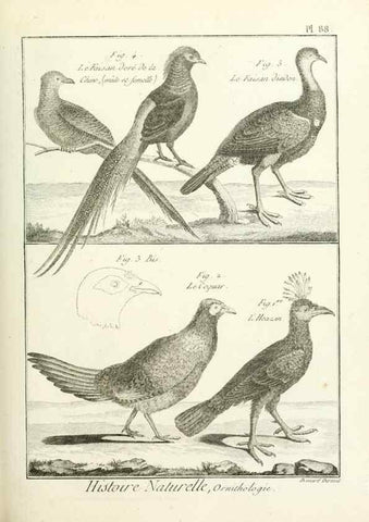 Reproducción/Reproduction 7850604768: Tableau encyclopédique et méthodique des trois règnes de la nature.. A Paris :Chez Mme. veuve Agasse ...,1823.