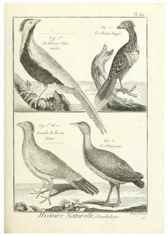 Reproducción/Reproduction 7850605760: Tableau encyclopédique et méthodique des trois règnes de la nature.. A Paris :Chez Mme. veuve Agasse ...,1823.