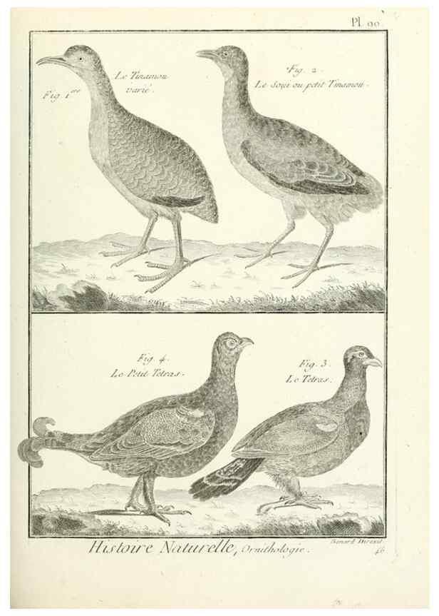 Reproducción/Reproduction 7850606806: Tableau encyclopédique et méthodique des trois règnes de la nature.. A Paris :Chez Mme. veuve Agasse ...,1823.