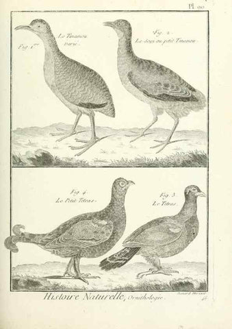 Reproducción/Reproduction 7850606806: Tableau encyclopédique et méthodique des trois règnes de la nature.. A Paris :Chez Mme. veuve Agasse ...,1823.