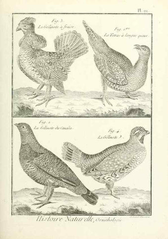 Reproducción/Reproduction 7850607834: Tableau encyclopédique et méthodique des trois règnes de la nature.. A Paris :Chez Mme. veuve Agasse ...,1823.
