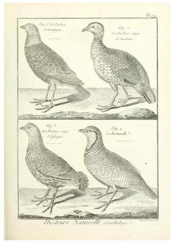 Reproducción/Reproduction 7850610150: Tableau encyclopédique et méthodique des trois règnes de la nature.. A Paris :Chez Mme. veuve Agasse ...,1823.