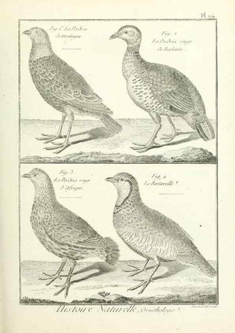 Reproducción/Reproduction 7850610150: Tableau encyclopédique et méthodique des trois règnes de la nature.. A Paris :Chez Mme. veuve Agasse ...,1823.
