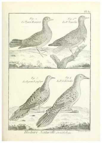 Reproducción/Reproduction 7850596410: Tableau encyclopédique et méthodique des trois règnes de la nature.. A Paris :Chez Mme. veuve Agasse ...,1823.
