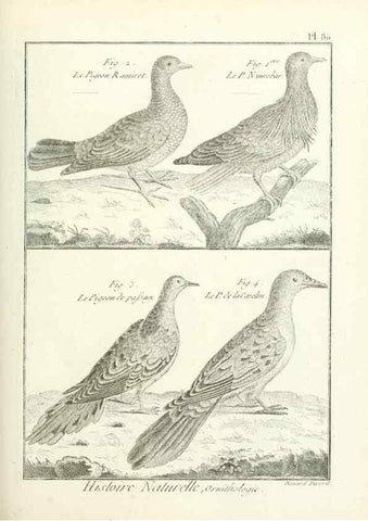 Reproducción/Reproduction 7850596410: Tableau encyclopédique et méthodique des trois règnes de la nature.. A Paris :Chez Mme. veuve Agasse ...,1823.
