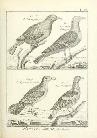 Reproducción/Reproduction 7850595156: Tableau encyclopédique et méthodique des trois règnes de la nature.. A Paris :Chez Mme. veuve Agasse ...,1823.
