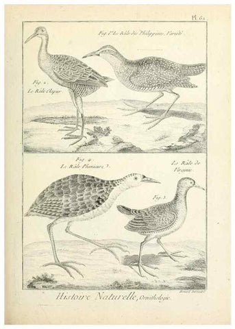 Reproducción/Reproduction 7850584430: Tableau encyclopédique et méthodique des trois règnes de la nature.. A Paris :Chez Mme. veuve Agasse ...,1823.