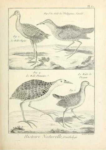Reproducción/Reproduction 7850584430: Tableau encyclopédique et méthodique des trois règnes de la nature.. A Paris :Chez Mme. veuve Agasse ...,1823.