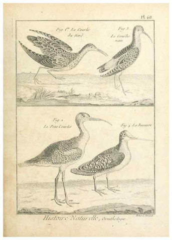 Reproducción/Reproduction 7850588738: Tableau encyclopédique et méthodique des trois règnes de la nature.. A Paris :Chez Mme. veuve Agasse ...,1823.
