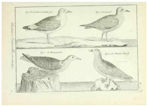 Reproducción/Reproduction 7850559760: Tableau encyclopédique et méthodique des trois règnes de la nature.. A Paris :Chez Mme. veuve Agasse ...,1823.