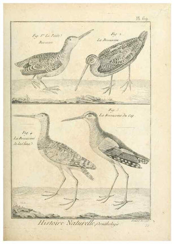 Reproducción/Reproduction 7850589408: Tableau encyclopédique et méthodique des trois règnes de la nature.. A Paris :Chez Mme. veuve Agasse ...,1823.