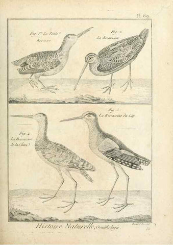 Reproducción/Reproduction 7850589408: Tableau encyclopédique et méthodique des trois règnes de la nature.. A Paris :Chez Mme. veuve Agasse ...,1823.