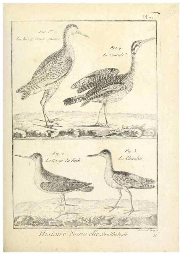 Reproducción/Reproduction 7850590624: Tableau encyclopédique et méthodique des trois règnes de la nature.. A Paris :Chez Mme. veuve Agasse ...,1823.