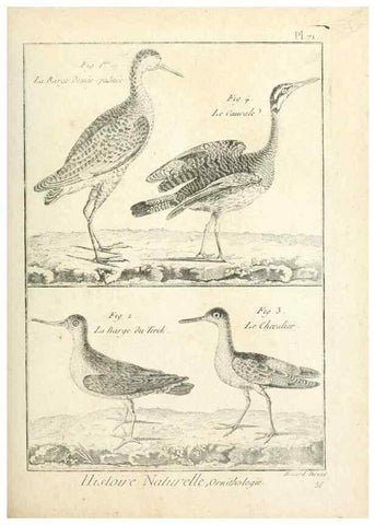 Reproducción/Reproduction 7850590624: Tableau encyclopédique et méthodique des trois règnes de la nature.. A Paris :Chez Mme. veuve Agasse ...,1823.
