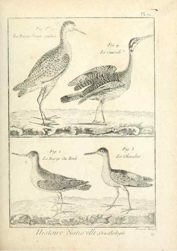 Reproducción/Reproduction 7850590624: Tableau encyclopédique et méthodique des trois règnes de la nature.. A Paris :Chez Mme. veuve Agasse ...,1823.