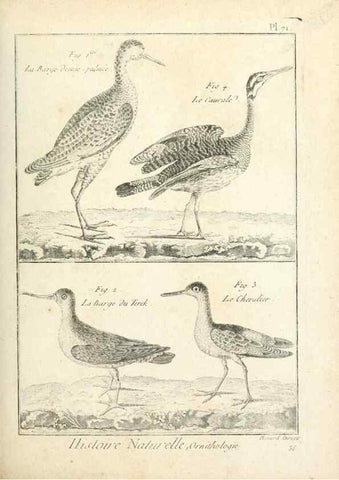 Reproducción/Reproduction 7850590624: Tableau encyclopédique et méthodique des trois règnes de la nature.. A Paris :Chez Mme. veuve Agasse ...,1823.