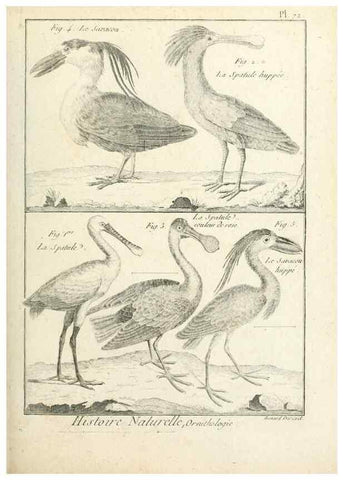 Reproducción/Reproduction 7850591238: Tableau encyclopédique et méthodique des trois règnes de la nature.. A Paris :Chez Mme. veuve Agasse ...,1823.