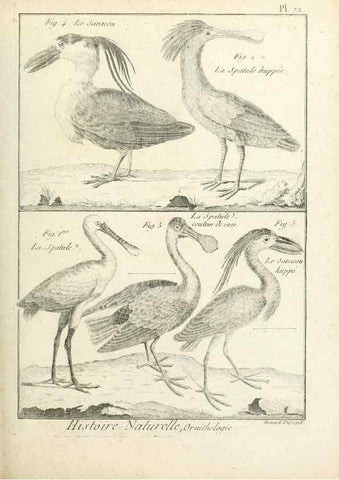 Reproducción/Reproduction 7850591238: Tableau encyclopédique et méthodique des trois règnes de la nature.. A Paris :Chez Mme. veuve Agasse ...,1823.